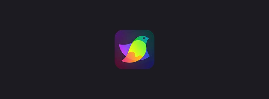 Amadine — outil design